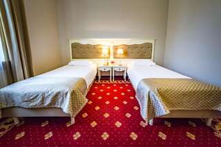 Курортные отели Hotel Sobienie Królewskie Sobienie Szlacheckie Двухместный номер с 1 кроватью или 2 отдельными кроватями-6